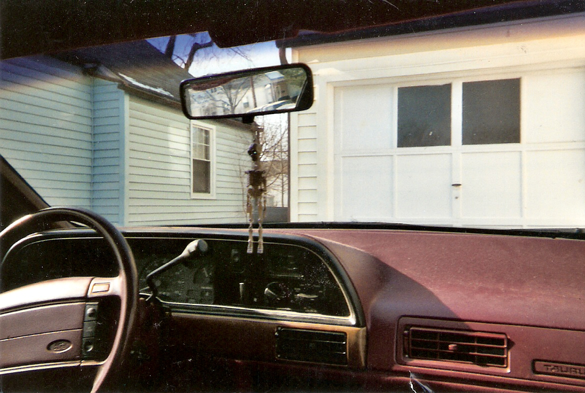 Lions Of March Scars Scatter back cover